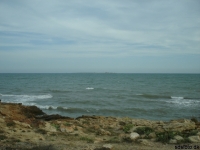 dsc01487