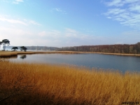sam_0435