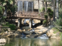 dsc01307