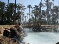 dsc01320