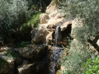 dsc01324