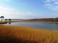 sam_0435