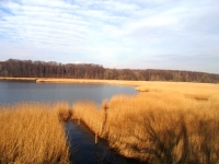 sam_0436