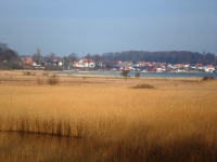 sam_0437